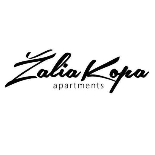 Zalia Kopa Apartamentai Salia Juros พาลังกา ภายนอก รูปภาพ